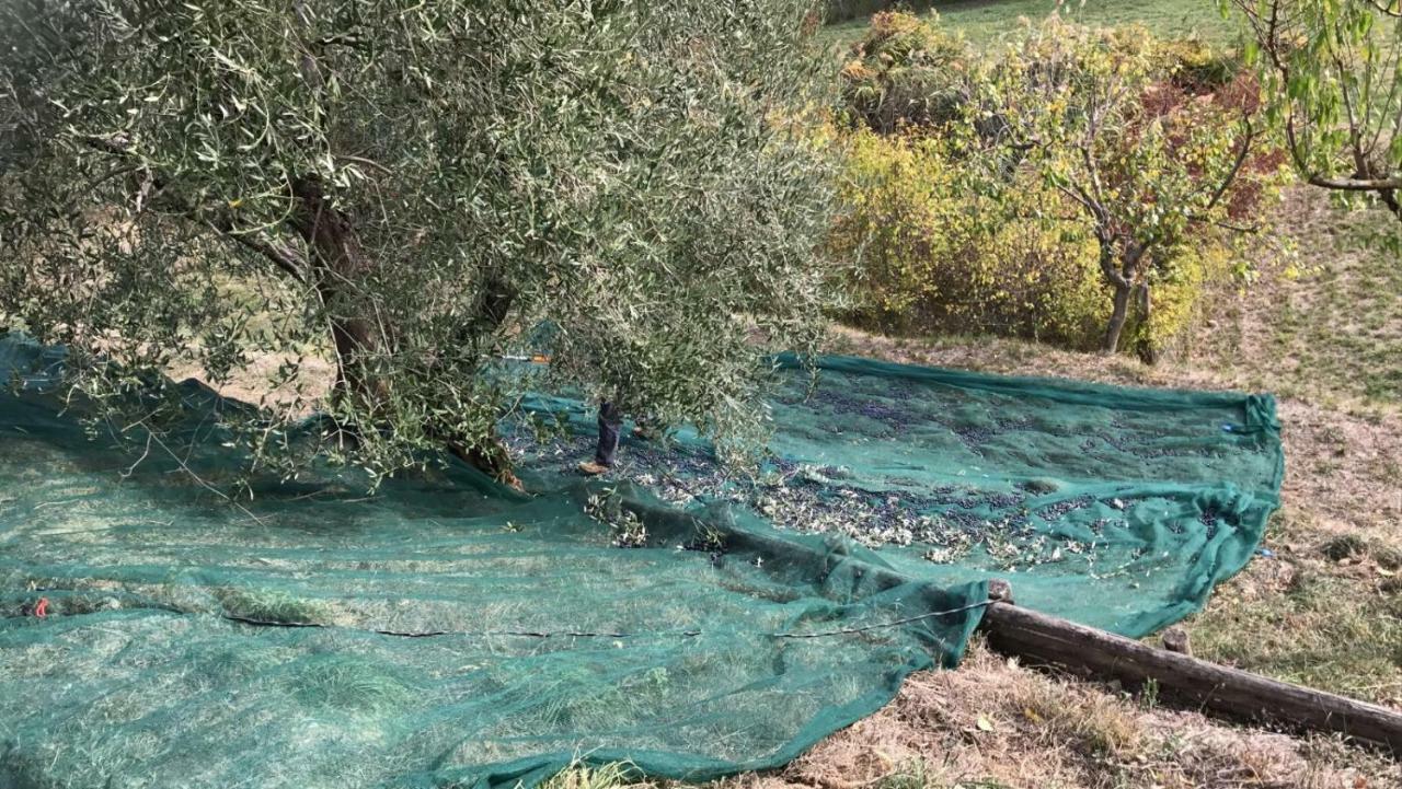 Villa Porsenna Chiusi Dış mekan fotoğraf